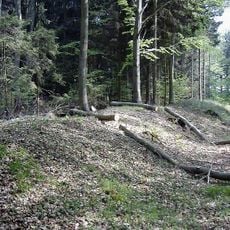 Burgwall Dargun