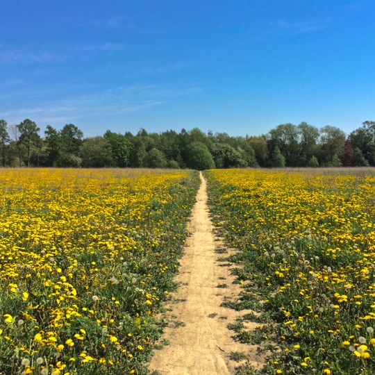 Parc central de Tikkurila