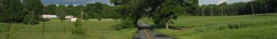 Panoramic View 0