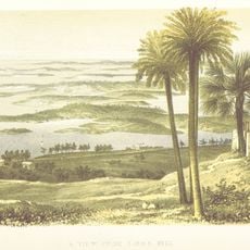 Gibbs Hill
