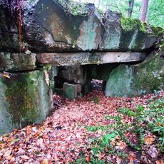 Bunker 307 Erlenbach