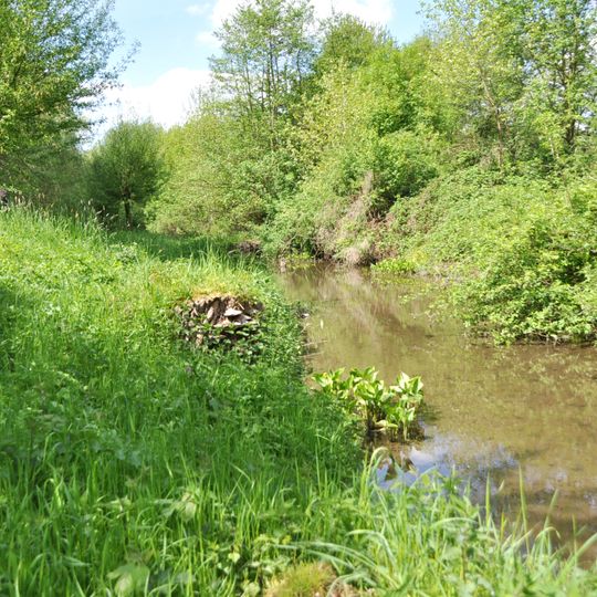 Aue des Alten Angerbaches am Altenbrucher Damm
