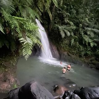 Cascade aux écrevisses