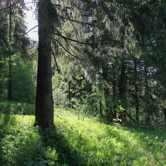 Старообрядческое кладбище «Зеленя»