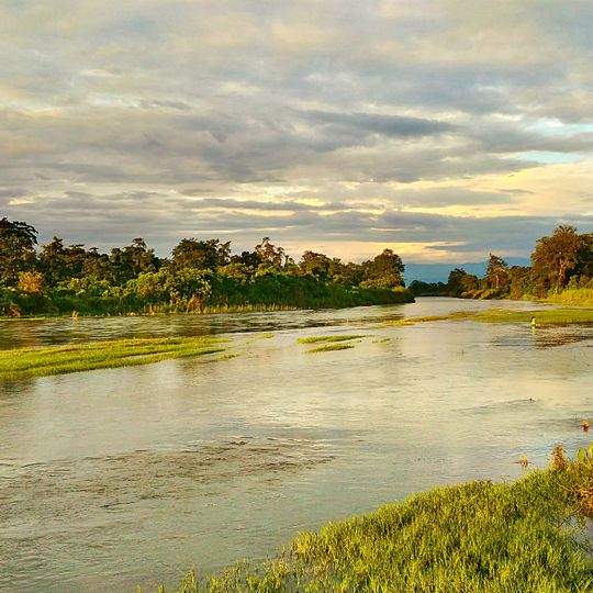 Dihing River