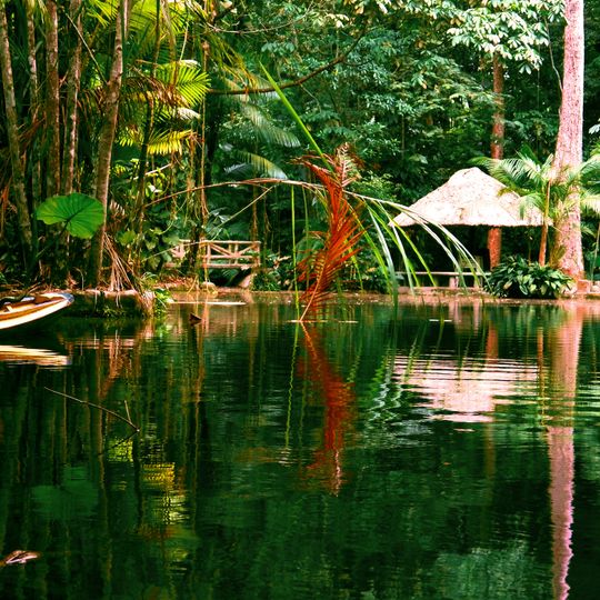 Bosque Rodrigues Alves