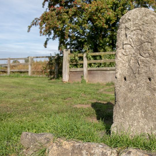 Nichol's Stone