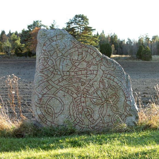 Uppland Runic Inscription 893