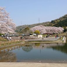 前山公園