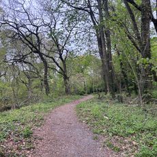 Raoul Wallenberg Forest