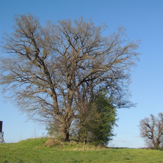 Großsteingrab Schabow