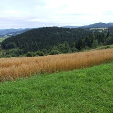 Groń (Pasmo Szumiącej)