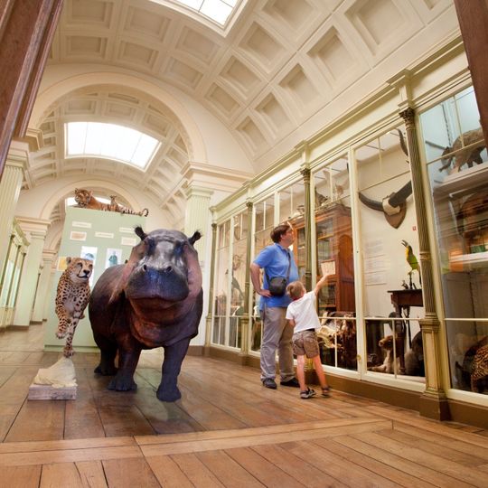 Musée d'Histoire naturelle et Vivarium, Tournai