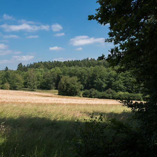 Rechtebachtal bei Georgenborn