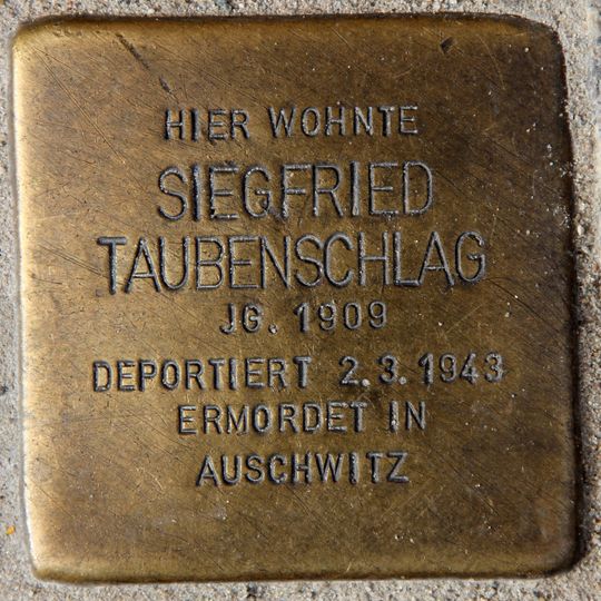 Stolperstein dedicated to Siegfried Taubenschlag
