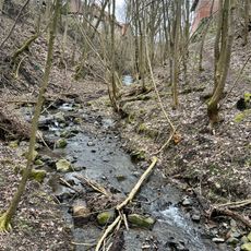 Sondertal und Talgraben bei Bad Wildungen