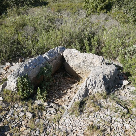Dolmen del Pla de les Arques