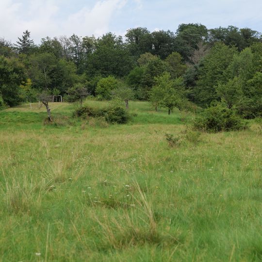 Kirdorfer Feld bei Bad Homburg