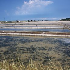 Saline di Sicciole