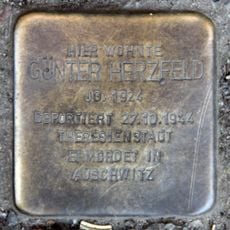 Günter Herzfeld