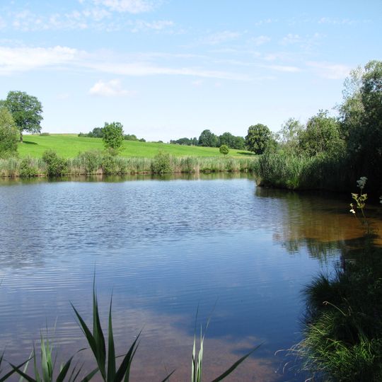 Moor- und Drumlinlandschaft zwischen Hohenkasten und Antdorf