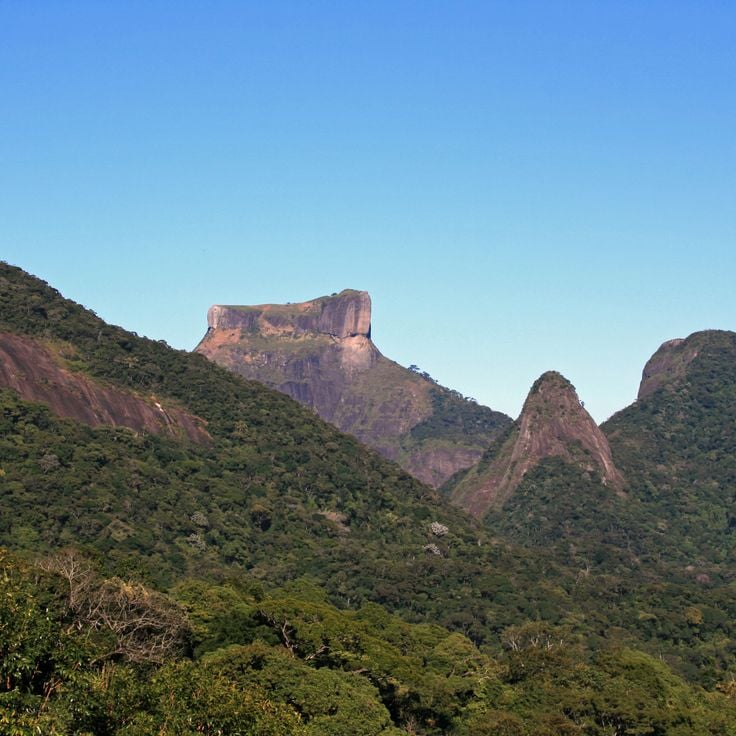 Tijuca Nationaal Park