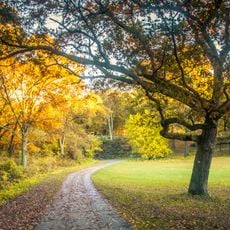 Franklin Park