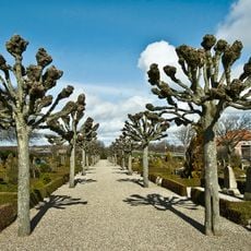 Ringkøbing Kirkegård
