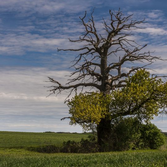 Nossentiner/Schwinzer Heide
