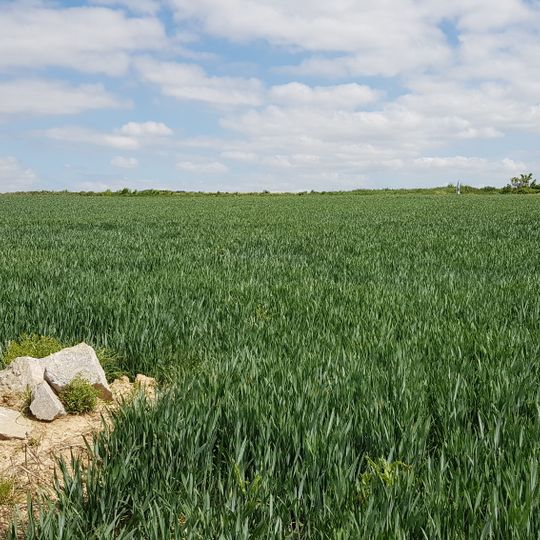 Grenspaal 74a tussen België-Nederland