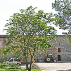 Château de Lasserre