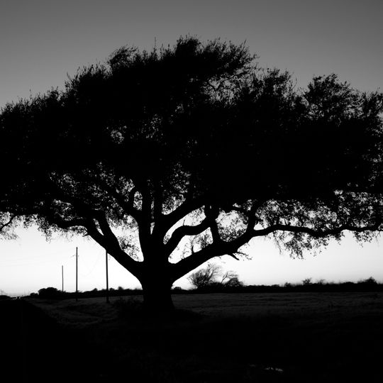 Texas Point National Wildlife Refuge
