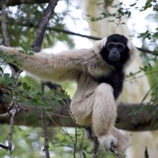 Botum Sakor National Park