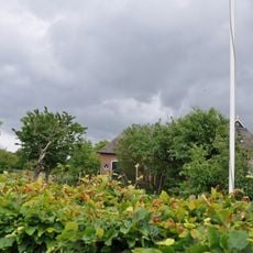 Boerderij uit de eerste helft der 19e eeuw onder hoog wolfdak, dat deels met pannen, deels met riet en deels met golfijzer is gedekt