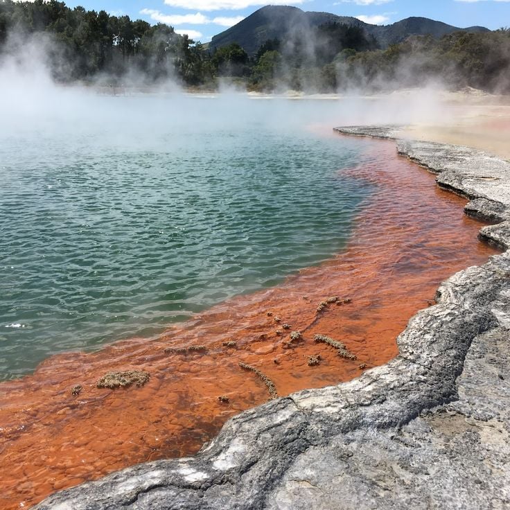 Champagne Pool