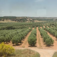 Puente sobre el río Guadalimar