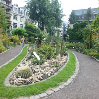 Jardin botanique d'Anvers