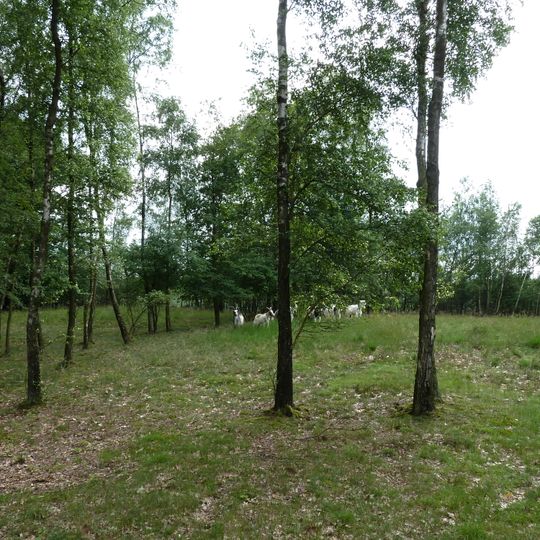 Zes grafheuvels op Jammerdaalse Heide