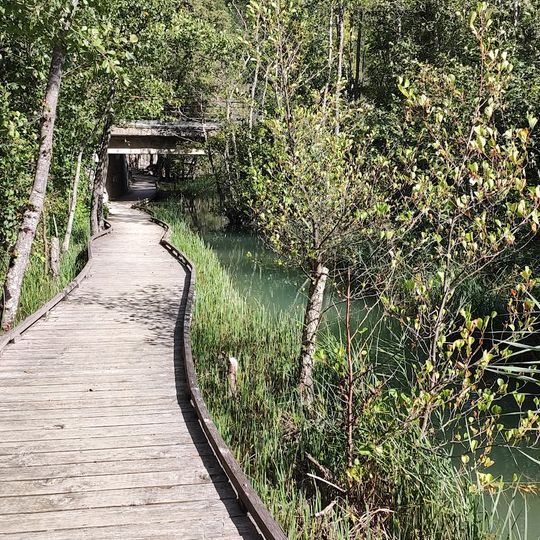 Le Marais des Bouligons