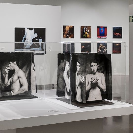 Kutxa Kultur Artegunea