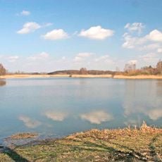 Bohdanečský rybník