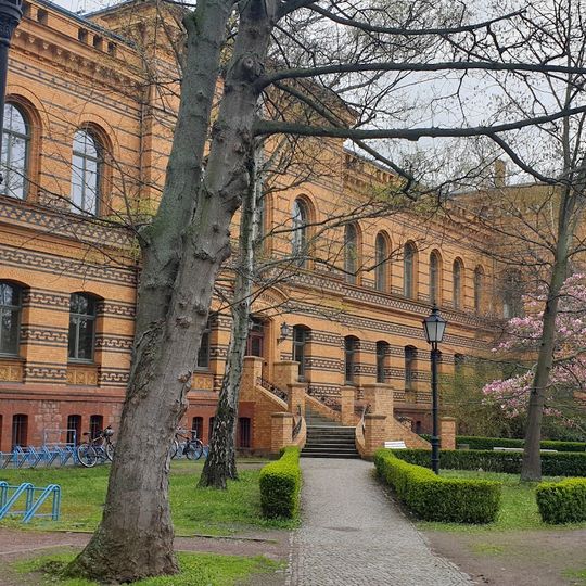 Meckelsche Sammlungen