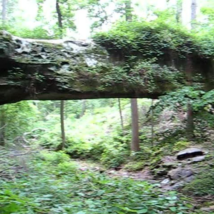 Ponte Naturale di Pomona