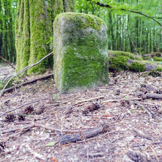 Grenzstein 1 bei Mauschelhof