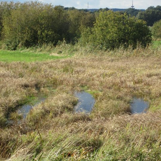 Westliche Dümmerniederung
