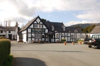 Alternative picture 1