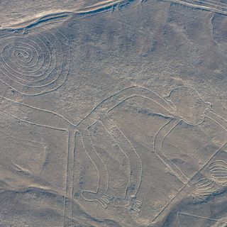 Nazca Monkey geoglyph