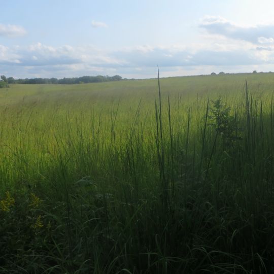 Park stanowy Chain O'Lakes