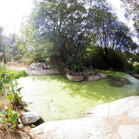 Menhir de la Fontaine Saint-Gré