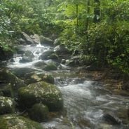 Masoala National Park